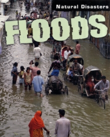 Image for Natural Disasters: Floods