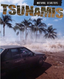 Image for Natural Disasters: Tsunamis