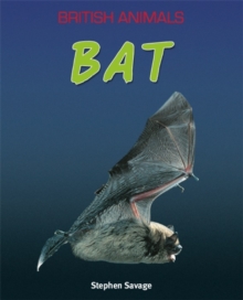 Image for Bat