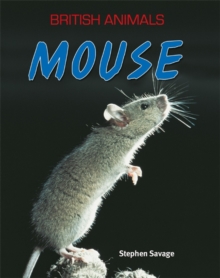 Image for British Animals: Mouse
