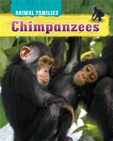 Image for Chimpanzees