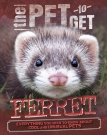 Image for Ferret