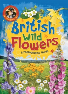 Image for British wild flowers