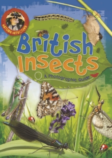 Image for British insects