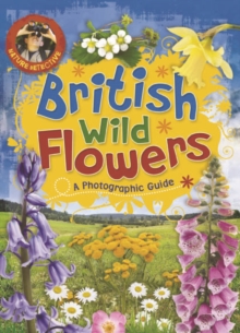 Image for British wild flowers