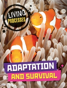 Image for Adaptation and survival