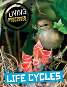 Image for Living Processes: Life Cycles