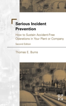 Image for Serious Incident Prevention