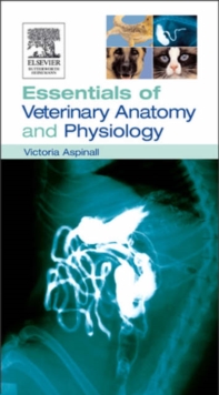 Image for Essentials of Veterinary Anatomy & Physiology