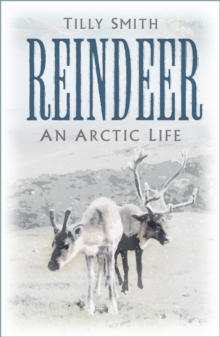 Image for Reindeer  : an Arctic life