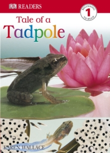 Image for Tale Of A Tadpole