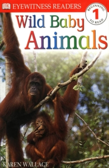 Image for DK READERS LEVEL 1: WILD BABY ANIMALS 1st Edition - Paper