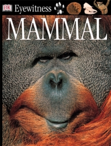 Image for Mammal