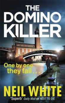 Image for The domino killer