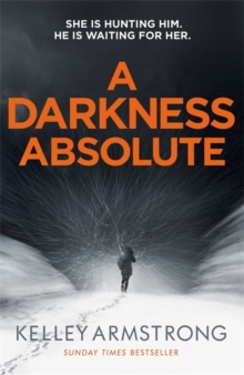 Image for A darkness absolute