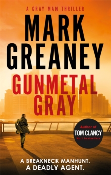 Image for Gunmetal gray