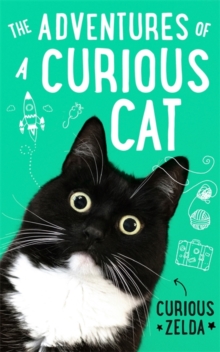 Image for The adventures of a curious cat