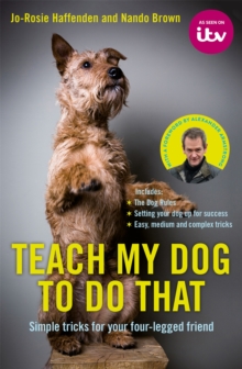 Image for Teach my dog to do that  : simple tricks for your four-legged friend