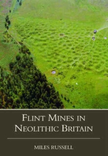 Image for Neolithic flint mines in Britain