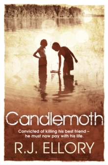 Image for Candlemoth