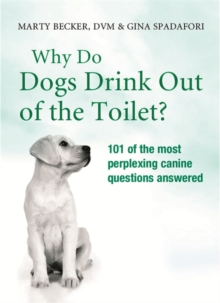 Image for Why Do Dogs Drink Out Of The Toilet?