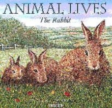 Image for The rabbit