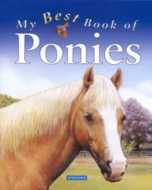 Image for My Best Book of Ponies