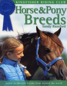 Image for Horse & pony breeds