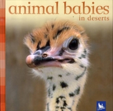 Image for Animal babies in deserts