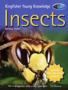 Image for Insects