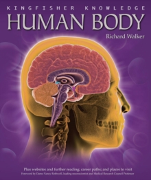 Image for Kingfisher Knowledge Human Body
