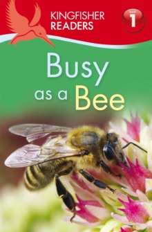 Image for Kingfisher Readers: Busy as a Bee (Level 1: Beginning to Read)
