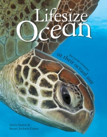 Image for Lifesize ocean