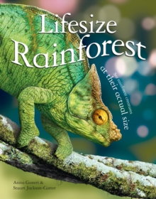 Image for Lifesize rainforest