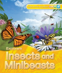 Image for Insects and minibeasts