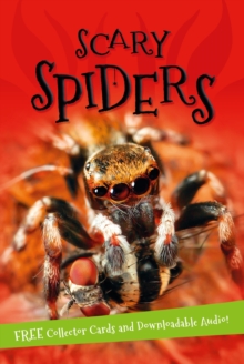 Image for It's all about ... scary spiders