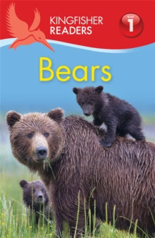 Image for Kingfisher Readers: Bears (Level 1: Beginning to Read)