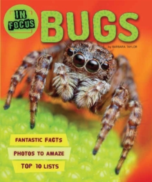 Image for In Focus: Bugs