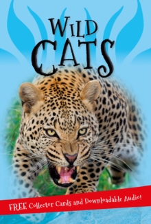 Image for It's all about... Wild Cats