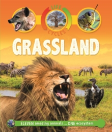 Life Cycles: Grassland