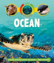 Image for Life Cycles: Ocean