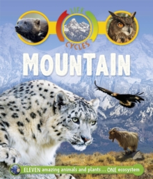 Life Cycles: Mountain