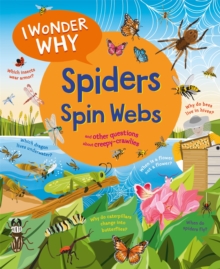 Image for I Wonder Why Spiders Spin Webs