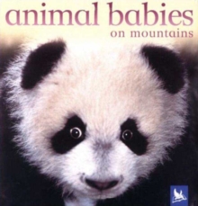 Image for US Animal Babies on Mountains
