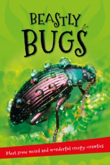 Image for It's All About . . . Beastly Bugs : Everything you want to know about minibeasts in one amazing book