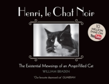 Henri, le Chat Noir