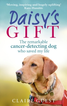 Daisy’s Gift: The remarkable cancer-detecting dog who saved my life