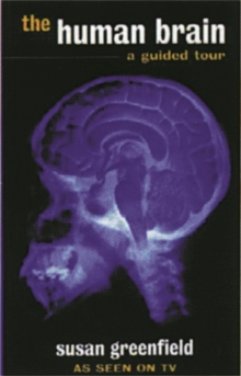 Image for The Human Brain