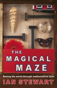 Image for The magical maze  : seeing the world through mathematical eyes