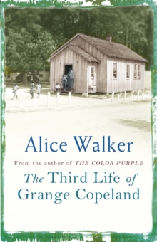 Image for The third life of Grange Copeland